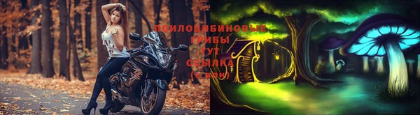 COCAINE Богородицк