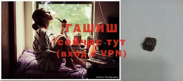 прущие грибы Богородск