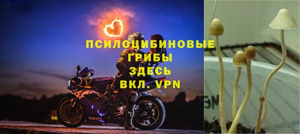 марихуана Богданович