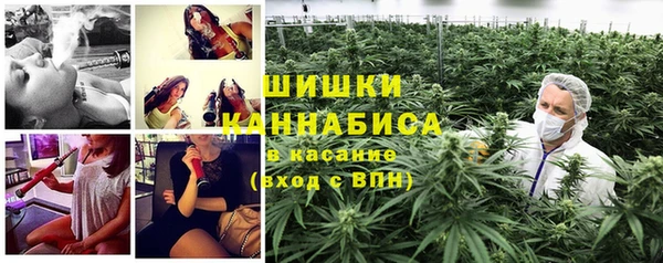 прущие грибы Богородск