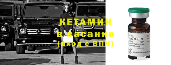 прущие грибы Богородск