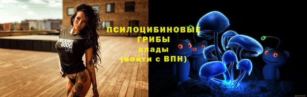 COCAINE Богородицк