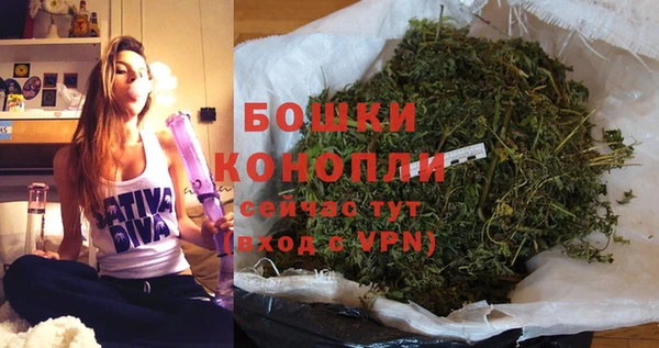 прущие грибы Богородск
