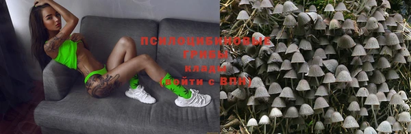 прущие грибы Богородск