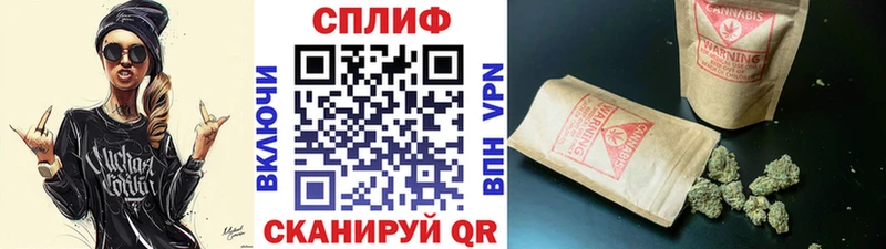 Канабис сатива  где купить наркоту  Давлеканово 